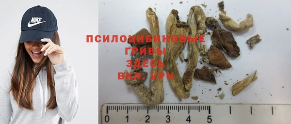 крисы Михайловка