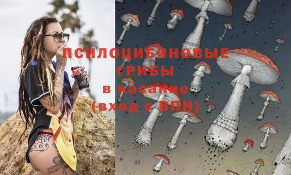 крисы Михайловка