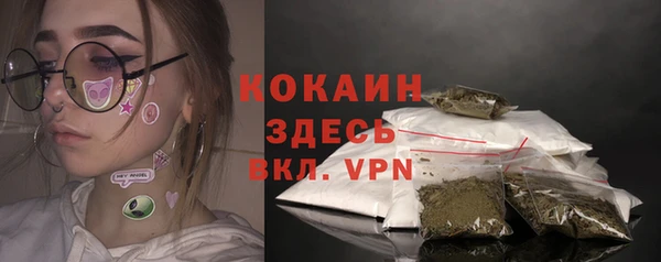 молекула духа Михайловск