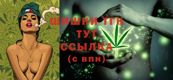 молекула духа Михайловск