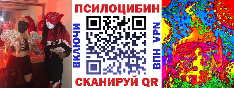 Псилоцибиновые грибы Psilocybine cubensis  Киренск 